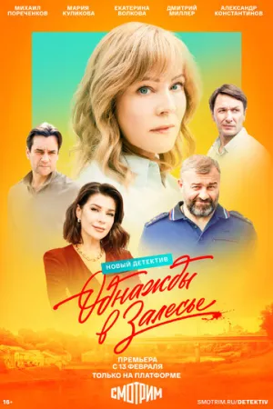 Однажды в Залесье (сериал 2024)